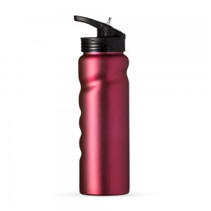 Squeeze Inox 750ml